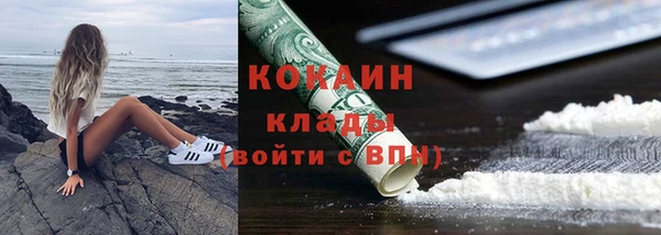молекула духа Зарайск