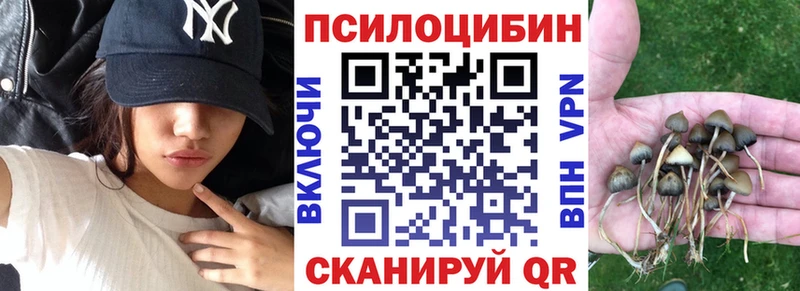 Галлюциногенные грибы мицелий  MEGA зеркало  Мглин 